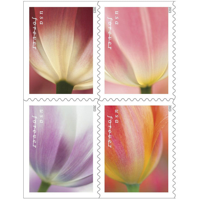 Summer Tulips 2023 5 sheets of 20 (100 total) USPS Forever Postage Stamps